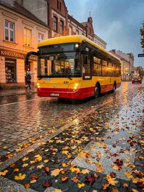 Jesień na drogach w Łomży. MPK przypomina o trzech zasadach bezpieczeństwa