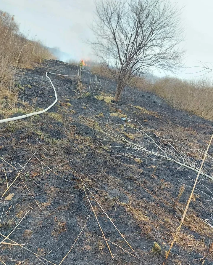 Dwaj 12-latkowie zaprószyli ogień pod Łomżą i sami wezwali pomoc