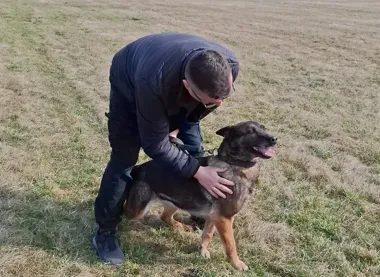 Łomżyńska komenda żegna Sabę - po 10 latach tropienia odchodzi na emeryturę