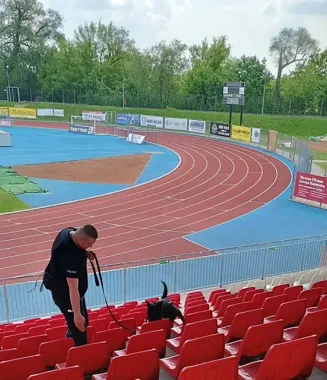 Psy z całego Podlasia ćwiczyły tropienie narkotyków na stadionie w Łomży