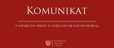 Dwa miesiące aresztu po zarzutach przemocy wobec partnerki