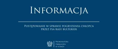 Postępowanie po pogryzieniu chłopca przez psa w Łomży