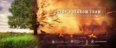 Kampania Stop Pożarom Traw rusza - kara do 30 000 zł i groźba więzienia