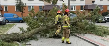 Nawałnica nad Łomżą. Strażacy interweniowali aż 54 razy, nikt nie ucierpiał
