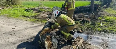 Wiatr przewracał drzewa i uszkodził auto - strażacy wyjeżdżali 15 razy